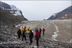 Columbia Icefileds - Jasper National Park, Alberta (Canadá)