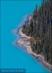 Peyto Lake - Banff National Park, Alberta (Canadá)