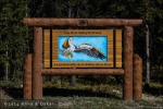 Bow Valley Parkway - Banff National Park, Alberta (Canadá)