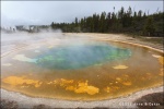 Beaty Pool - Yellowstone National Park