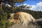Orange Spring Mound - Yellowstone National Park
Orange Spring Mound Yellowstone National Park Mammoth