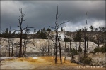 Angel Terrace - Yellowstone National Park