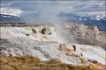 Canary Springs - Yellowstone National Park