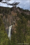Tower fall - Yellowstone National Park