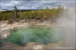 Emerald Spring - Yellowstone National Park