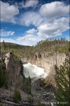 Gibbon Falls - Yellowstone National Park