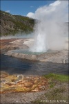 Cliff Geyser - Yellowstone National Park