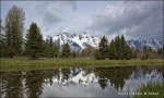 Schwabacher’s Landing - Grand Teton National Park
Schwabacher’s Landing Grand Teton National Park