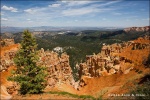 Ponderosa Point - Bryce Canyon National Park