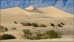 Mesquite Sand Dunes - Death Valley National Park