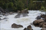 Rio Merced - Yosemite National Park