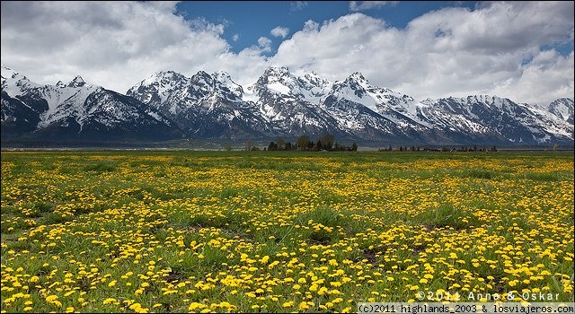 Foro de Nevada: Grand Teton National Park