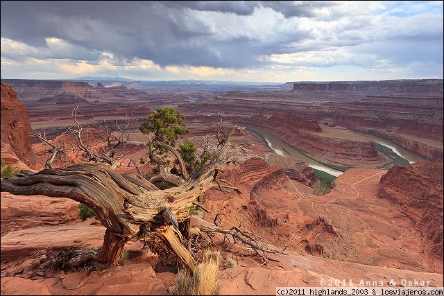 Foro de Moab: Dead Horse Point Overlook - Dead Horse Point State Park