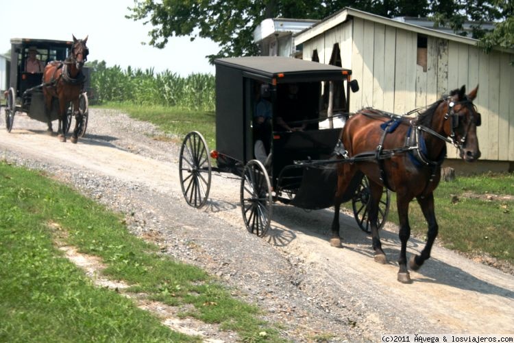 Foro de Gettysburg: Carruaje Amish. Pensilvania USA