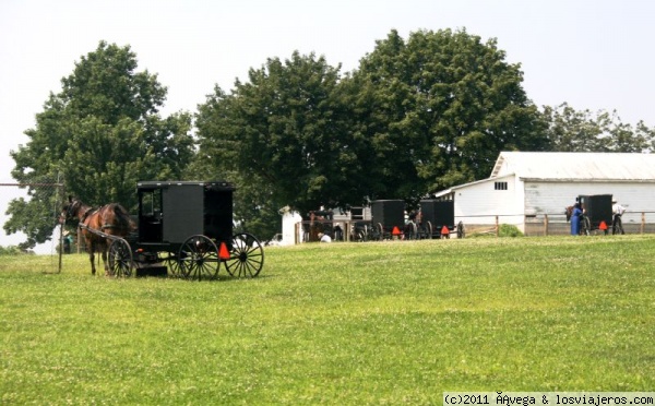 Un Domingo en una aldea Amish. Pensilvania USA
Pensilvania. El domingo es el día de descanso de una comunidad Amish. Aquí salían de misa
