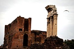 Restos de un Imperio, Roma
Foros Imperiales Roma Italia