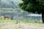 Omega Park, Lake