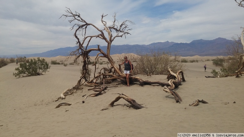 Costa Oeste USA por nuestros 60 cumpleaños - Blogs de USA - Death Valley y llegada a Mammoth Lakes (4)