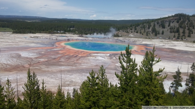 De camino a Yellowstone - Blogs de USA - Norris Geyser  y  Old Faithful (4)
