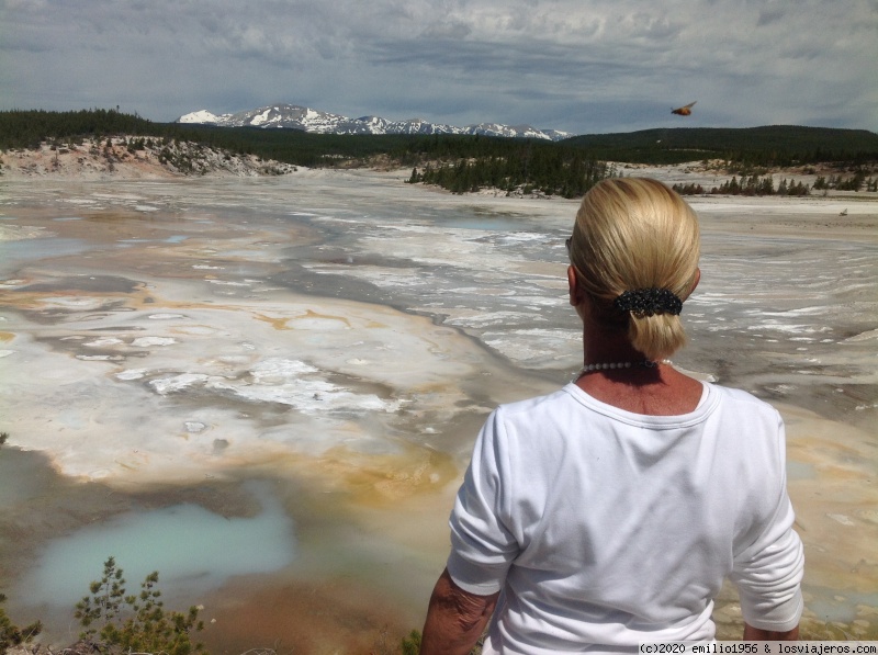 De camino a Yellowstone - Blogs de USA - Norris Geyser  y  Old Faithful (1)