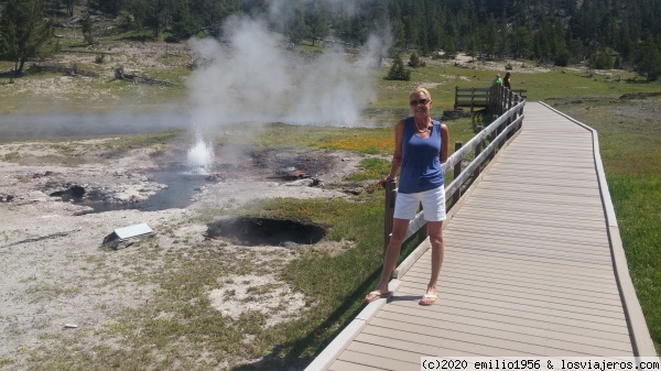 zona de norris geyser
zona de norris geyser
