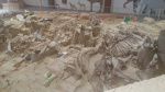 museo de mammuts
museo, mammuts