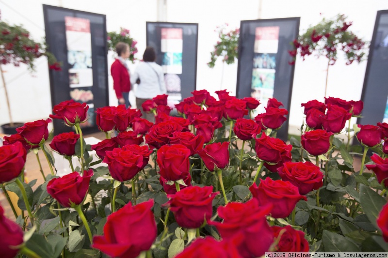 Feria de la Rosa, fiesta de la primavera en Roses - Girona