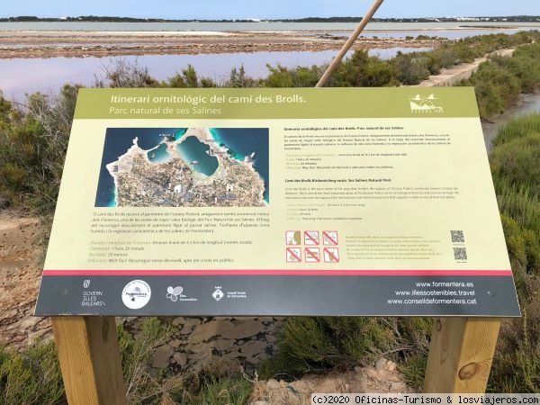 Nuevo ‘Itinerario Ornitológico del Camí des Brolls’ - Formentera (1)