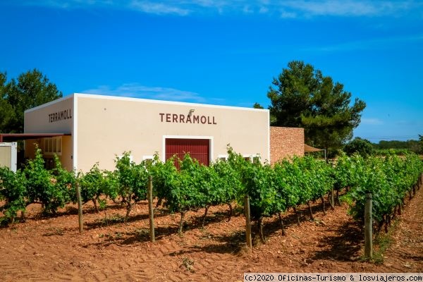 Bodega Terramoll - Formentera
En el altiplano de La Mola –a unos 200 metros de altitud y bañados por constantes vientos salinos– se encuentran los viñedos y bodega Terramoll
