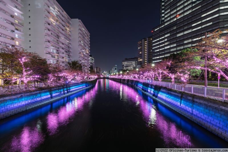 Navidad en Tokio: Unas fiestas llenas de luz en 2022 - TeamLab Planets, isla artificial en el centro de Tokio ✈️ Foro Japón y Corea