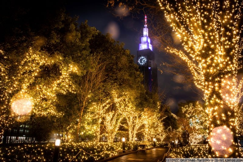 Tokio en Navidad y Fin de Año: Espectáculos de Luces y Mercadillo Navideño  ✈️ Noticias de Japon ✈️ Los Viajeros