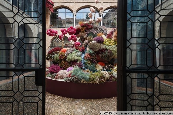 FLORA, Festival Internacional de las Flores, Córdoba
FLORA, Festival Internacional de las un intercambio cultural inédito entre un espacio tan tradicional como los patios cordobeses y un arte tan contemporáneos.
