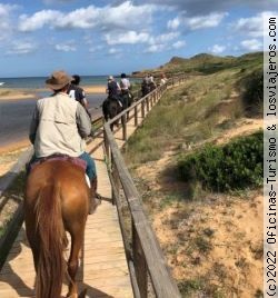 Menorca - Islas Baleares
Excursiones a caballo en Menorca
