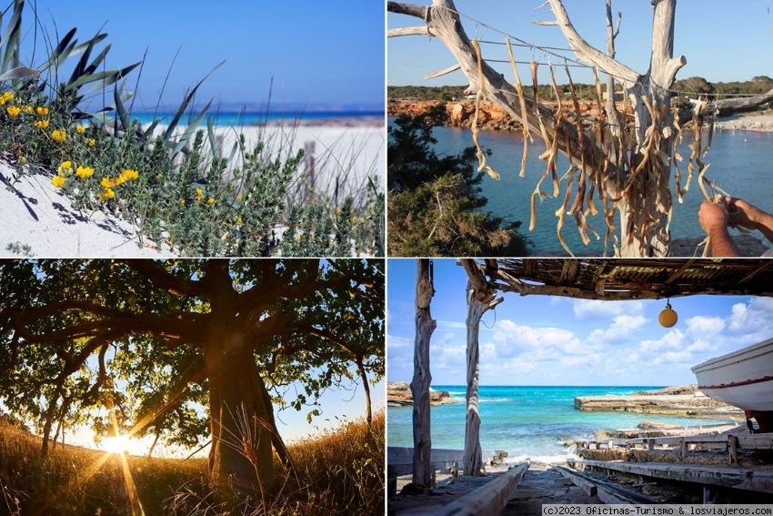 Formentera ya huele a verano - Islas Baleares