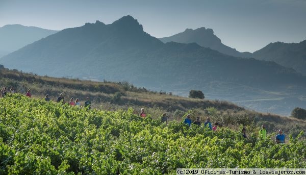 Ruta del Vino de Rioja Alavesa... Vanguardia y Tradición
