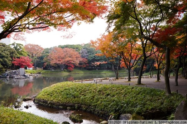Jardines Koishikawa Korakuen - Tokio (Japón)
Jardines de Koishikawa Korakuen en otoño
