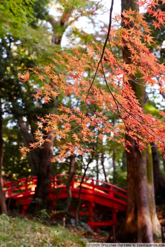 Planes para disfrutar de los paisajes otoñales de Tokio