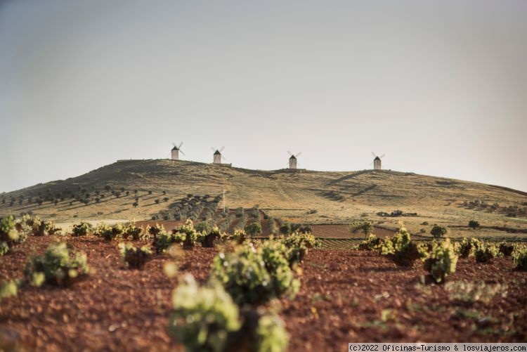 Ruta del Vino de La Mancha en familia - Enoturismo en Castilla La Mancha