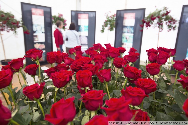 6 Eventos Gastronómicos en Roses - Girona - Fiesta Mayor de Roses 2020 - Girona (Costa Brava) ✈️ Foro Cataluña