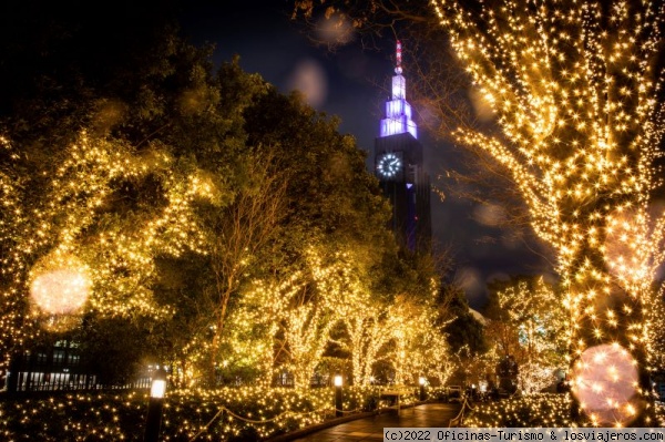 Iluminación Navideña en Tokio - Japón
Kilómetros con bombillas LED adornando los árboles

