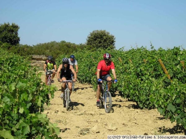 Cicloturismo en la Rioja Alavesa
Rutas de Mountain Bike por los viñedos.
