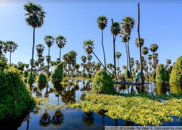 Bañado la Estrella: Maravilla Natural - Formosa, Argentina, Nature-Argentina (1)