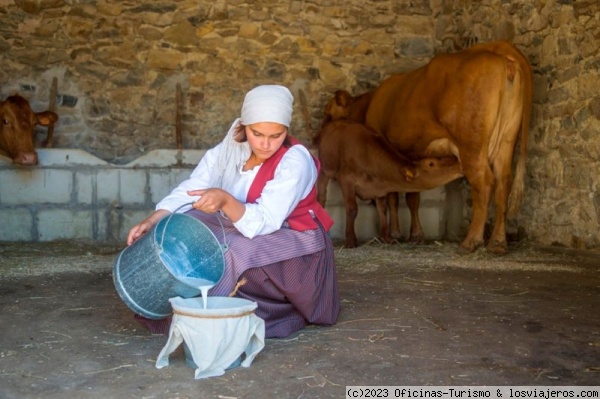 Museo Binissuès en Ferreries - Menorca
Recorrido a lo largo de los siglos XVIII y XIX para comprender mejor cómo era la vida menorquina.
Museo Binissuès en Ferreries - Menorca
Recorrido a lo largo de los siglos XVIII y XIX para comprender mejor cómo era la vida menorquina.