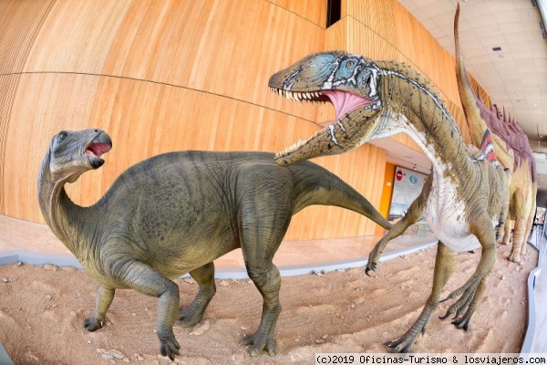 Museo de Paleontología de Castilla – La Mancha de Cuenca
el Museo de Paleontología es una visita didáctica y divertida para hacer en familia.
