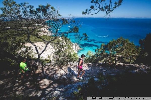 Viajar a Formentera en primavera: Observación de Flora - Foro Islas Baleares