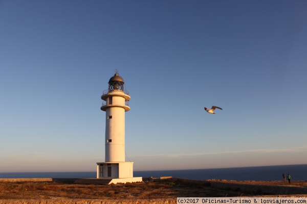 5 pistas para una escapada otoñal a Formentera - ‘Itinerario ornitológico del Camí des Brolls’ Formentera ✈️ Foro Islas Baleares