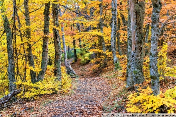 Planes para viajar en familia por Castilla - La Mancha (4)