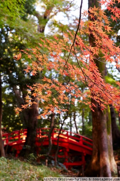 Jardines Koishikawa Korakuen - Tokio (Japón)
Jardines Koishikawa Korakuen en otoño
