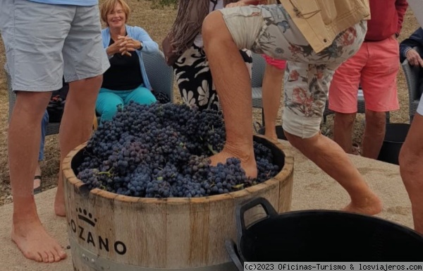 Rioja Alavesa, Actividades de vendimia
Pisado de uvas en la Rioja Alavesa
