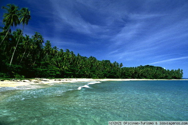 Las mejores playas para surfear en Costa Rica - Playas en Costa Rica - Pacífico y Costa Caribe ✈️ Foro Centroamérica y México